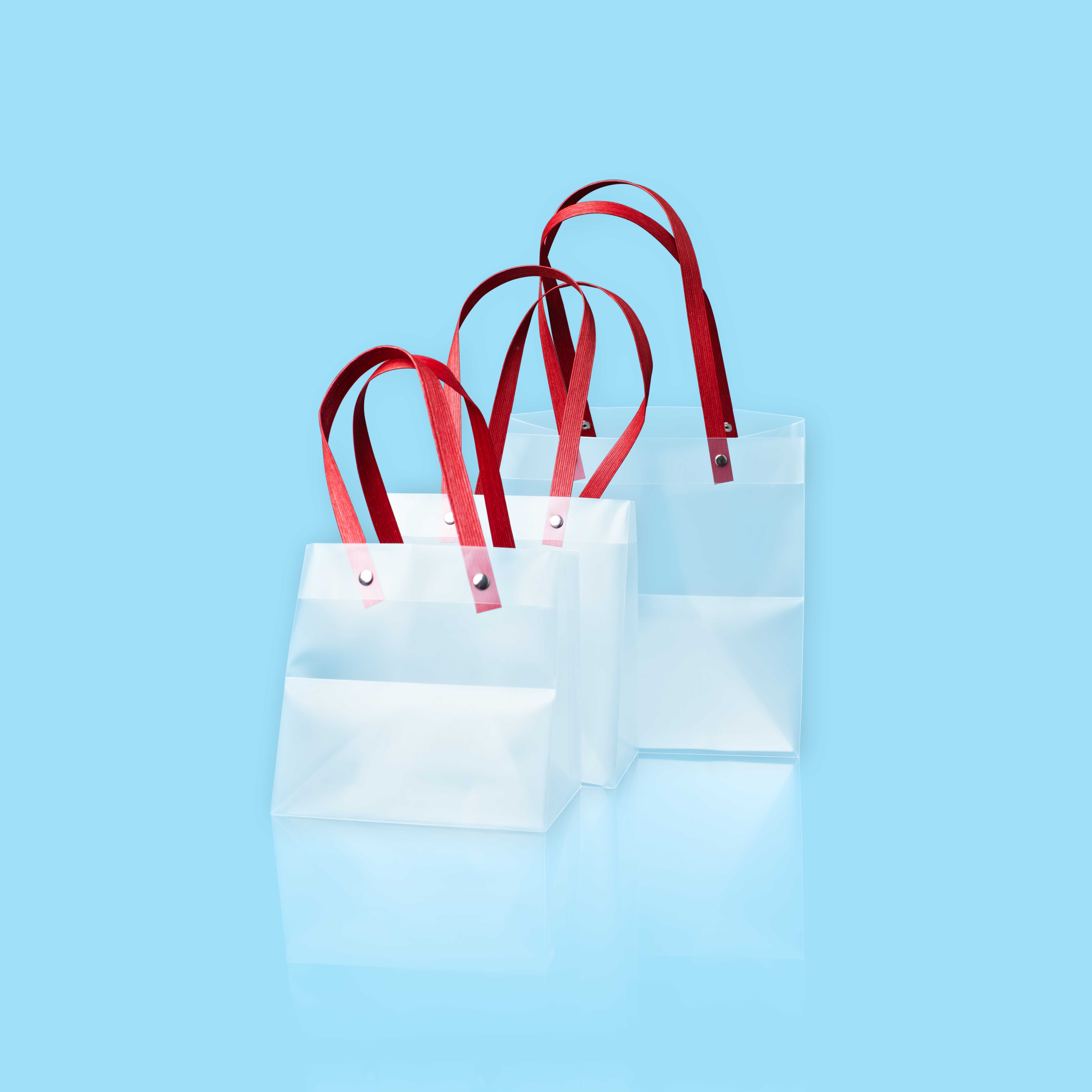 PP handbag.jpg