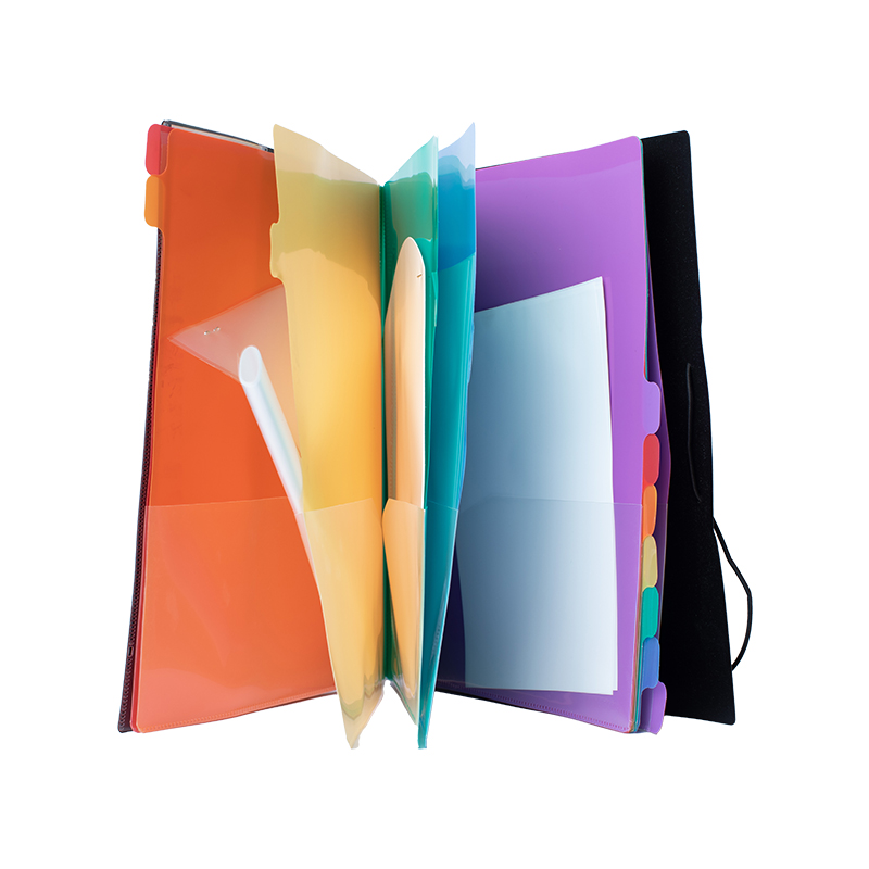RPP Plastic Document Bag